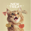 Freeze-Dried Turkey Cat Treats